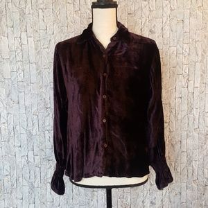 Velvet Deep Purple Button Down Long Sleeve Top